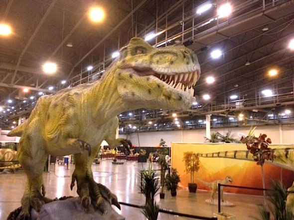 ea7b35b98ffcb2cecc073130149aaa9d Courtesy Dinosauria Experience.