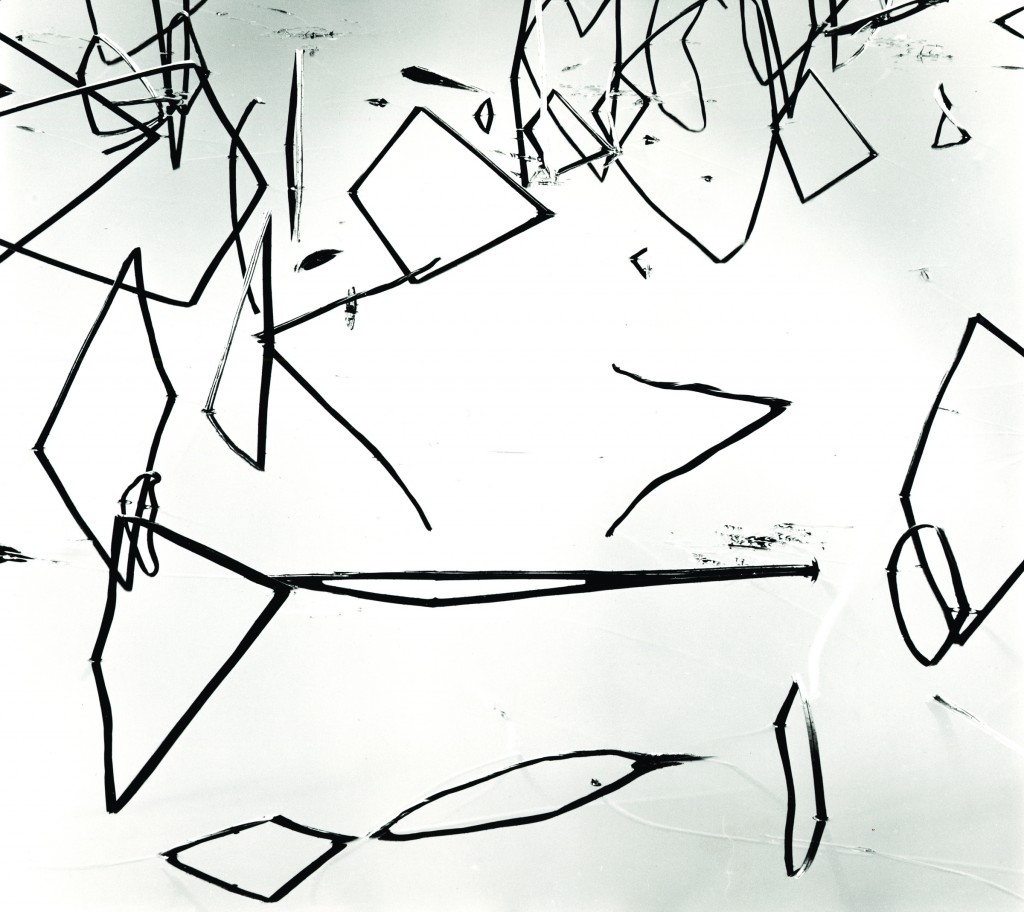 Reeds, Japan, 1970, by Brett Weston. Image ©The Brett Weston Archive. Image courtesy OKCMOA.