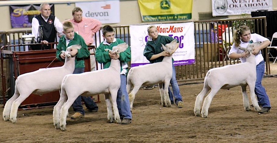 Photo courtesy Oklahoma Youth Expo.