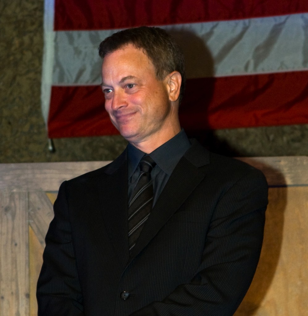 Gary Sinise.CROPPED