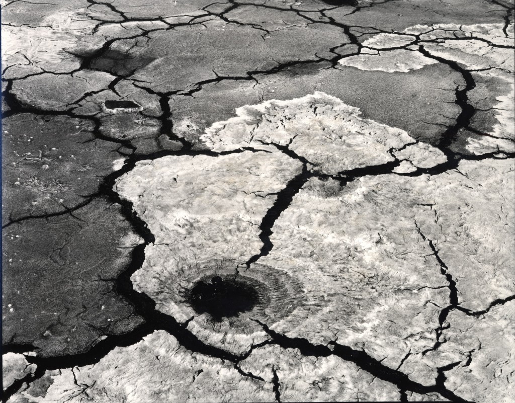 mud cracks