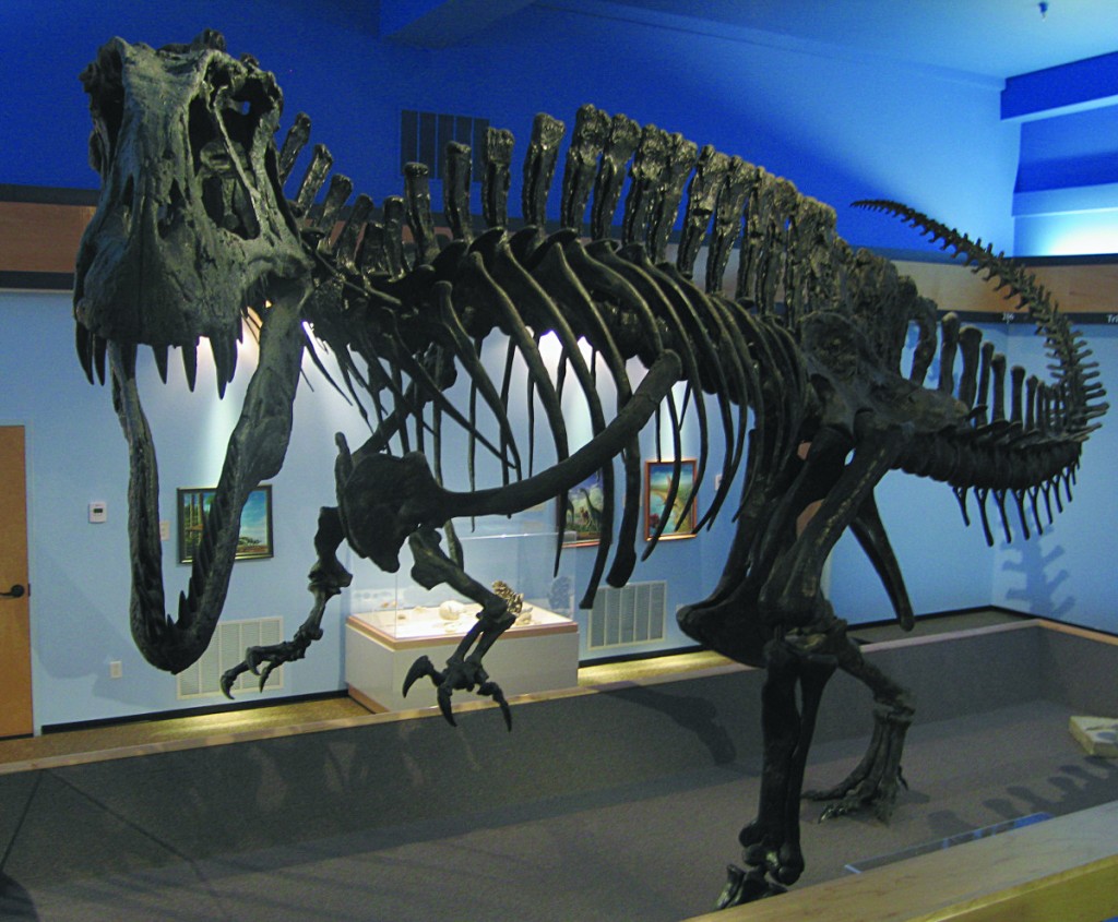 Photo courtesy Museum of the Red River.