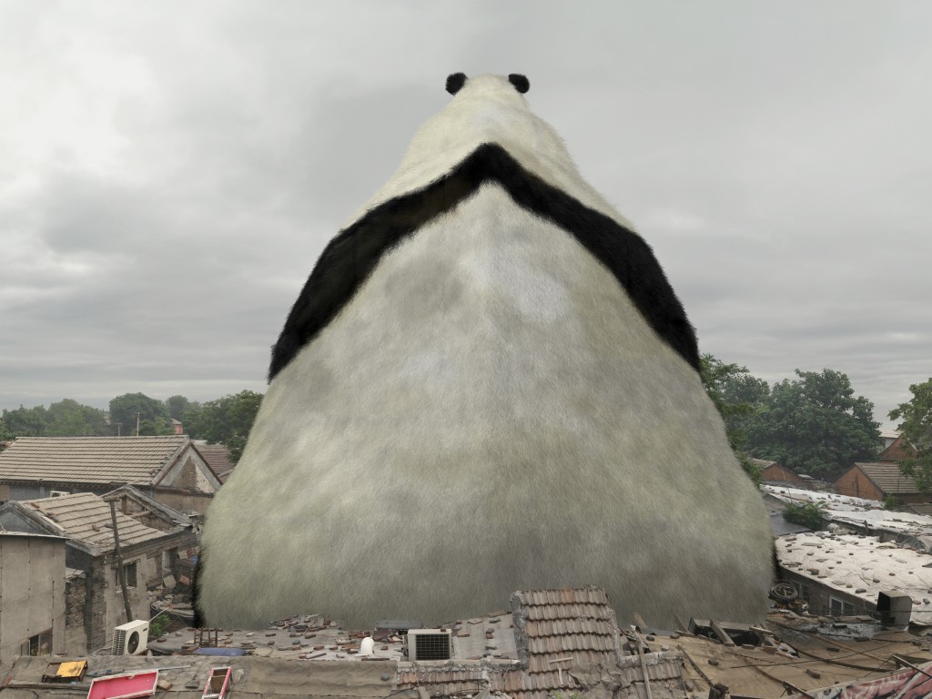 liu di, animal regulation no.4