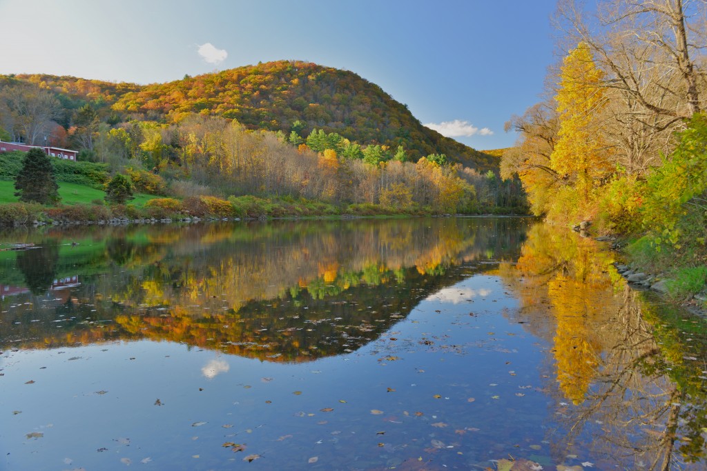 shutterstock_161059337