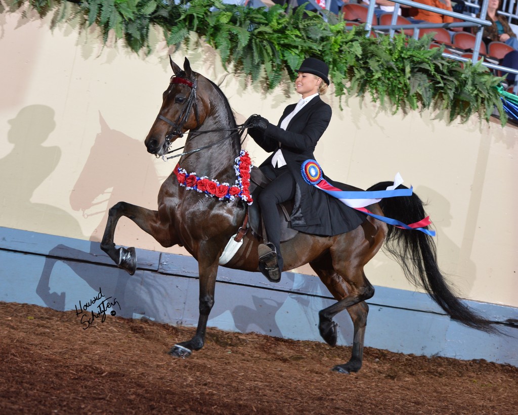 Grand National & World Championship Horse Show Oklahoma Magazine