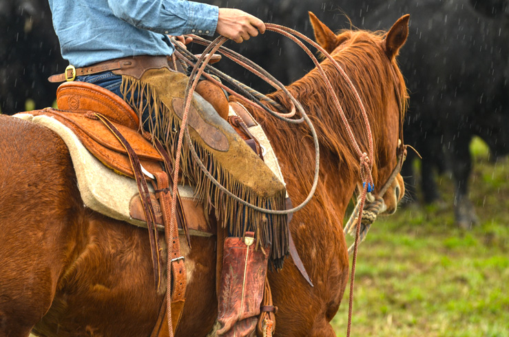 A-Bar-Ranch--041115-1545