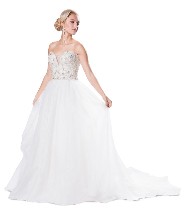 Wed-Dresses-16--102315-0483