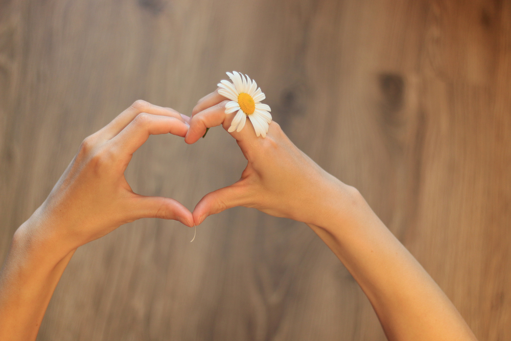 shutterstock_288146543