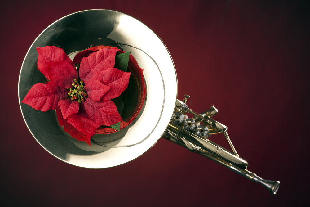 shutterstock_41729029