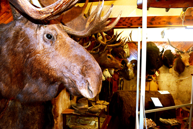 Midgley-Trophy-Room
