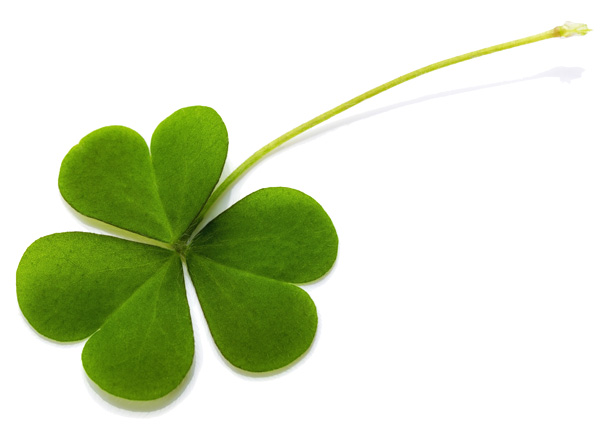 clover-shutterstock_193400456CROPPED
