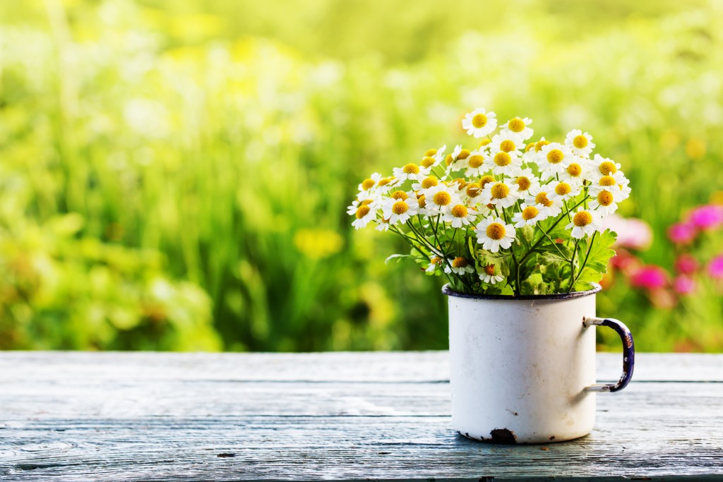 shutterstock_259693643