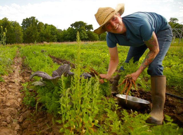 Taste-Farm-to-Table--050716-83232