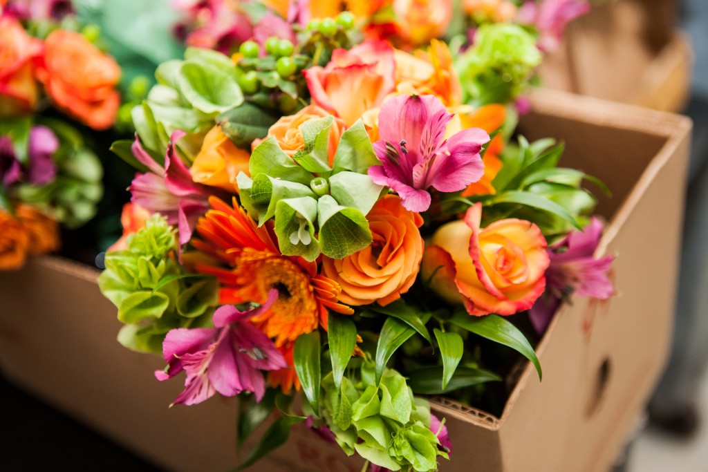 shutterstock_235551766