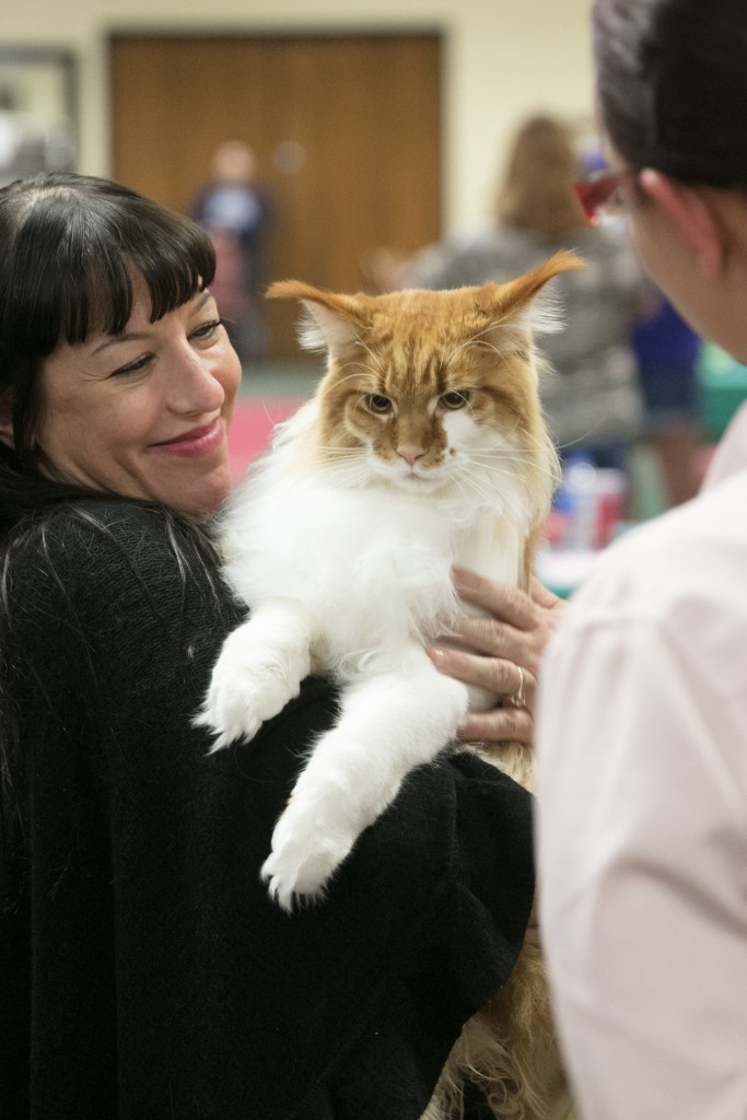 hobbies-catshows10162016-2273