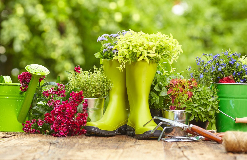 AdobeStock_78377840