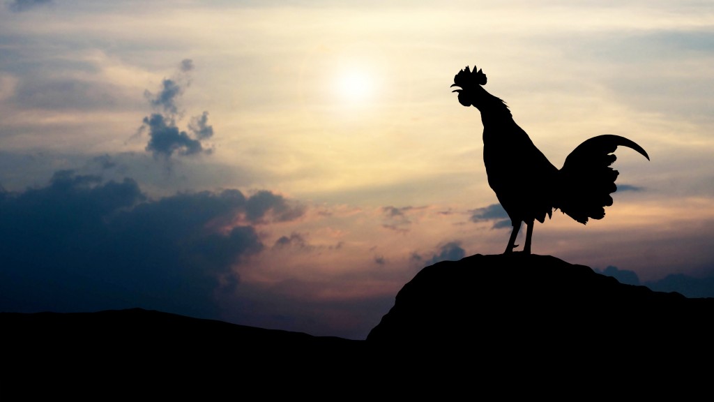 AdobeStock_113791064