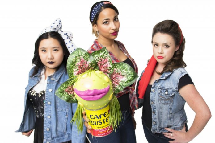 Little Shop of Horrors1639