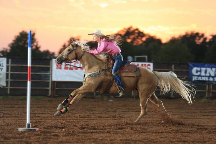 Brittany Gates Pole Bending 2016