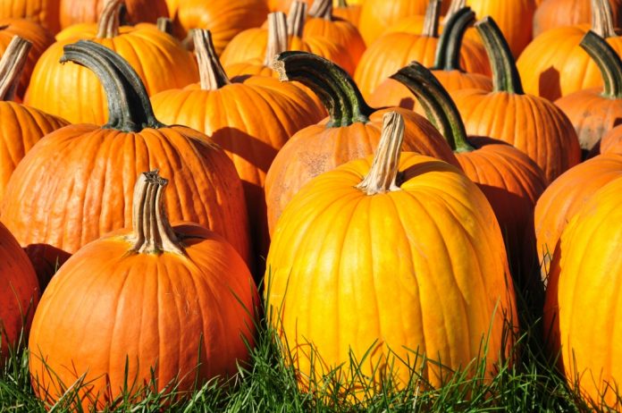 AdobeStock_44447602