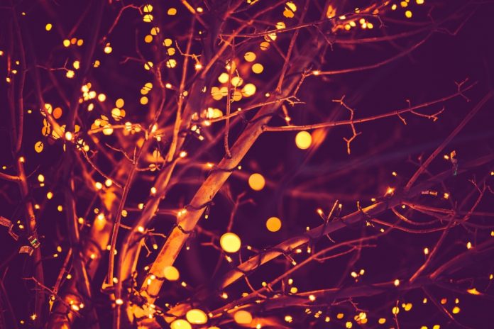 AdobeStock_75674761
