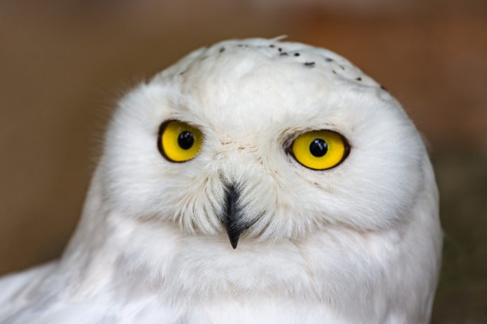 AdobeStock_95880707