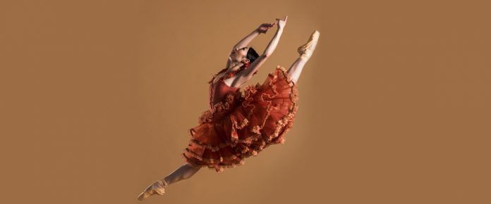 Web-DonQuixote-2-1200x500.jpg