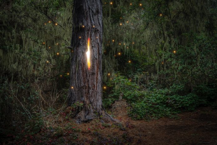 TheLightWithin_12x18_MichaelMcRuiz.jpg