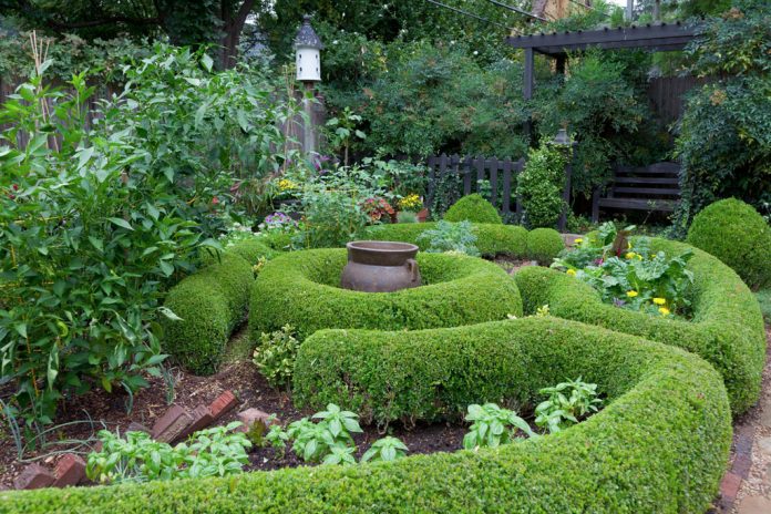 2014-12-30Linda-Vaters-Garden--23936