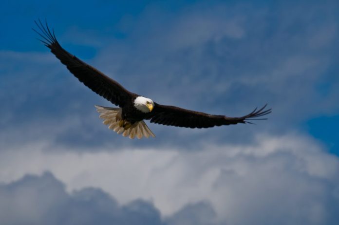 AdobeStock_26325467
