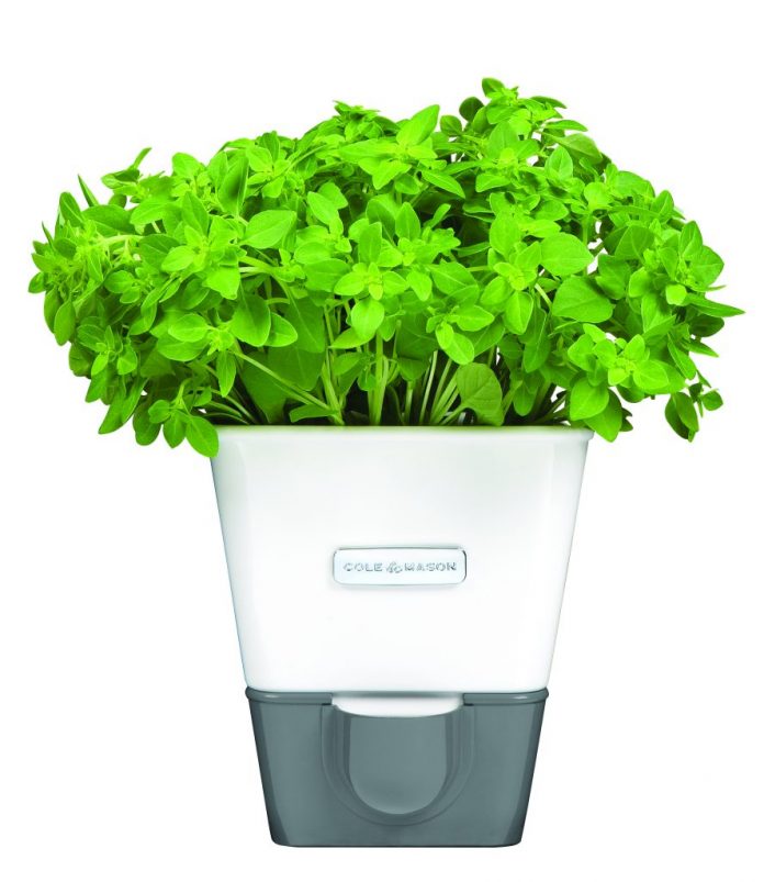 H105249 Self Watering Herb Keeper Single Dimensions HR (2)