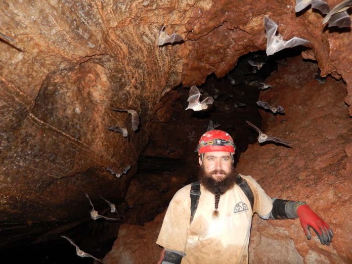 Caver Casey Evans pauses as bats fly around him.