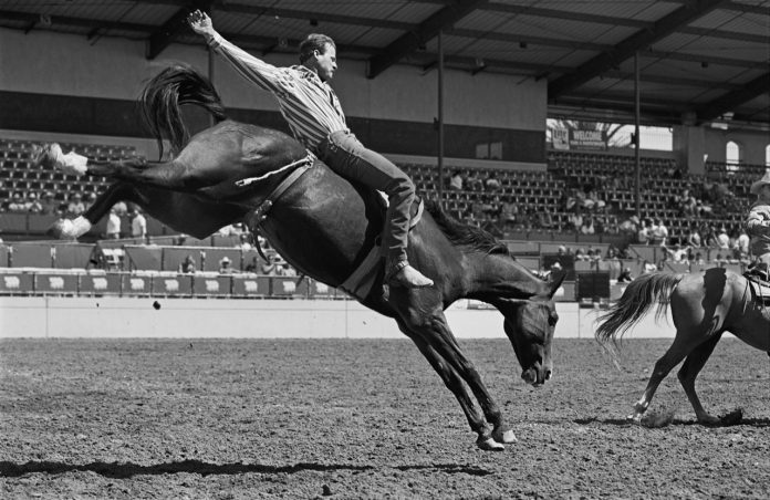 Bareback Bronc Riding, San Diego, CA