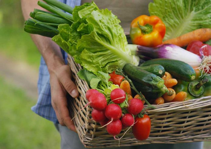 Portrait of a happy young farmer holding fresh vegetables in a b