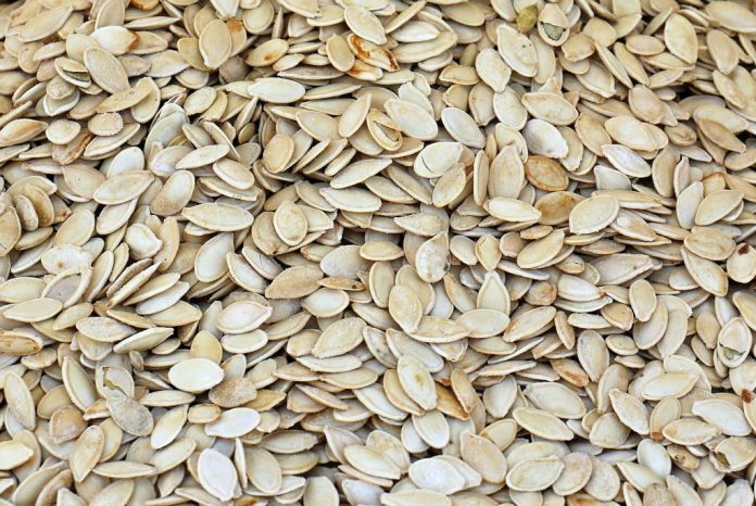 Roasted pumpkin seeds pile