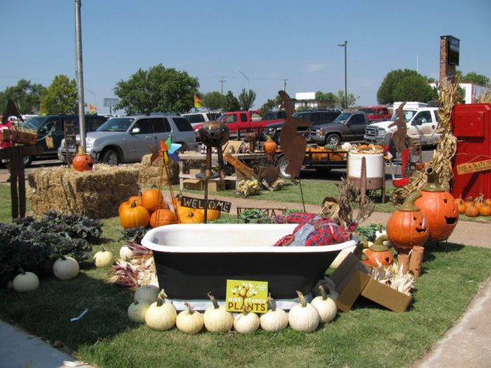 Fall Fest Picture