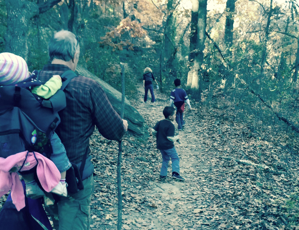 Enjoy the variety of trees and wildlife along the Yellow Trail at Turkey Mountain. Photo courtesy River Parks Authority.