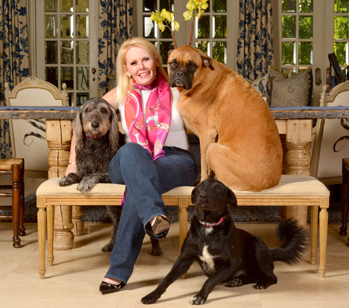 Pictured are Wags, Dede, Clovithz and Squish. The Siegfried pets are all rescues and have even been DNA-tested to learn their true breeds. Photo by Dan Morgan.