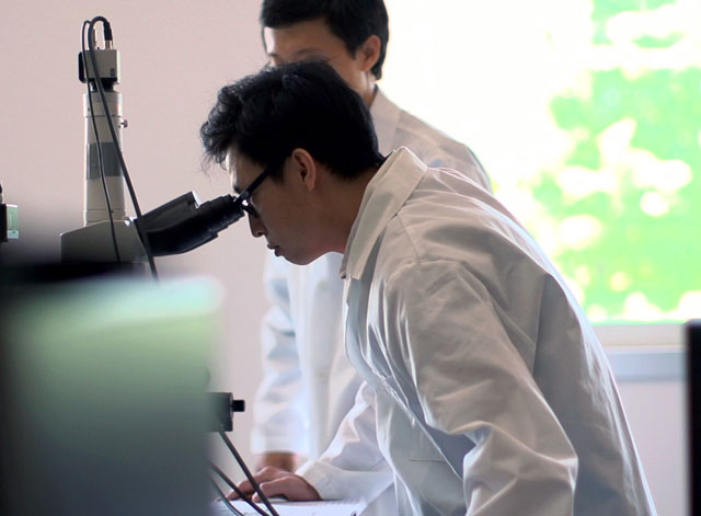 research-2